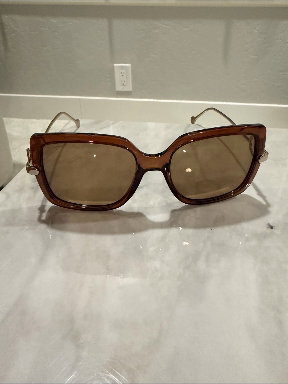 Salvatore Ferragamo Oversized Square Sunglasses